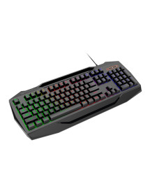 Combo Gamer Meetion C490