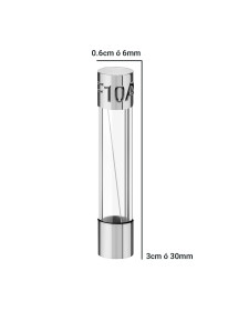 Fusible Grande 10A 250V