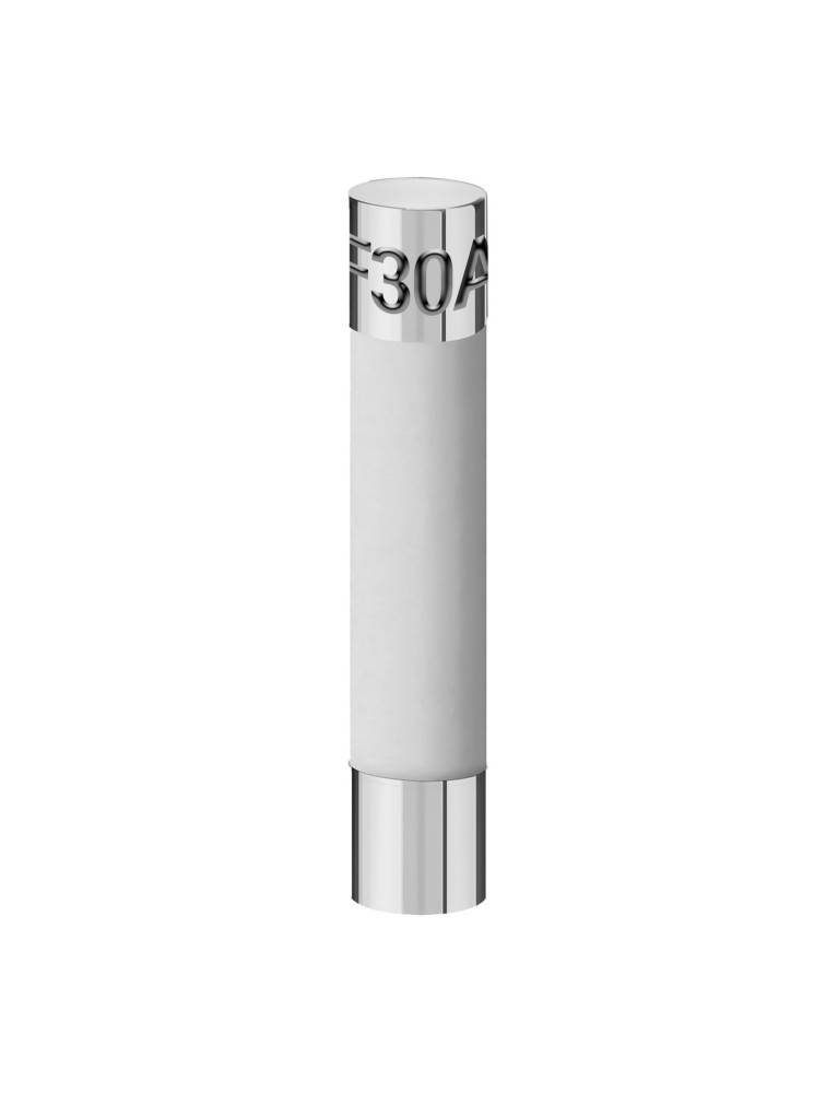 Fusible Cerámico Grande 30A 250V