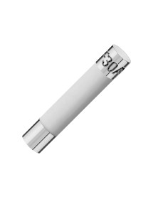 Fusible Cerámico Grande 30A 250V
