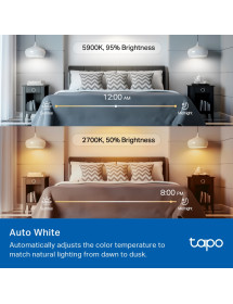 Foco Inteligente Smart WIFI Luz Multicolor 1055 Lúmenes - Control Por Voz 75 W Tapo TP-LINK